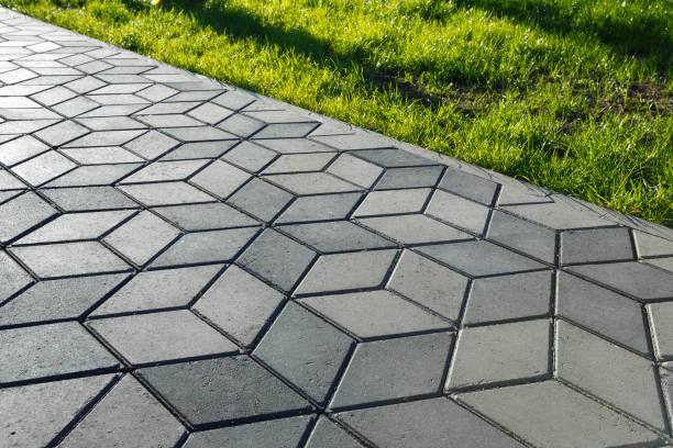 Best Decorative Driveway Pavers in Hector, MN